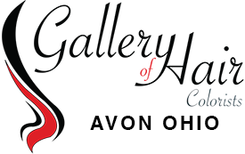 Gallery of Hair Colorists logo